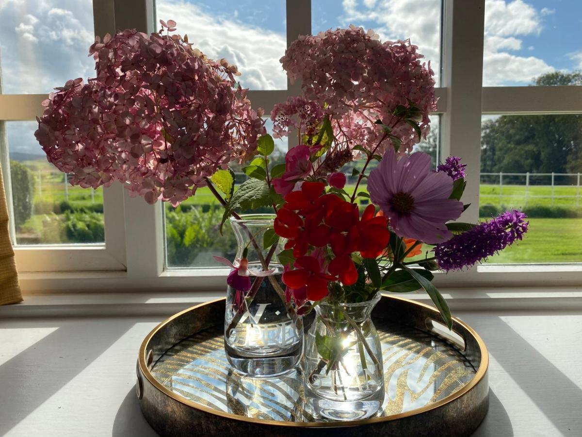 South Craighall B&B Eaglesham Eksteriør billede