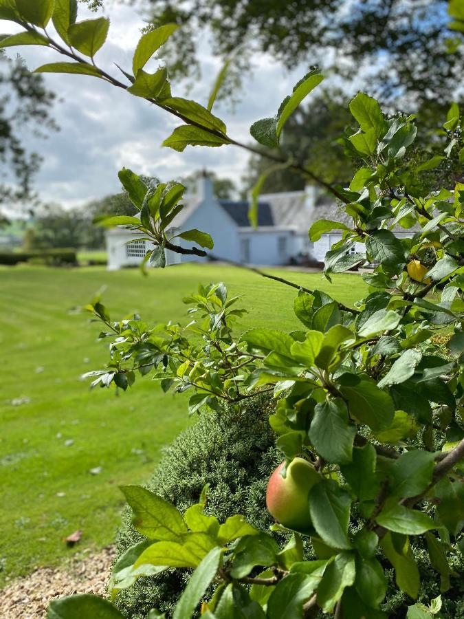 South Craighall B&B Eaglesham Eksteriør billede