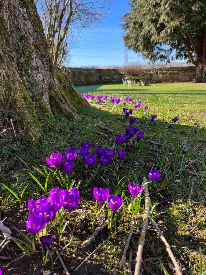 South Craighall B&B Eaglesham Eksteriør billede