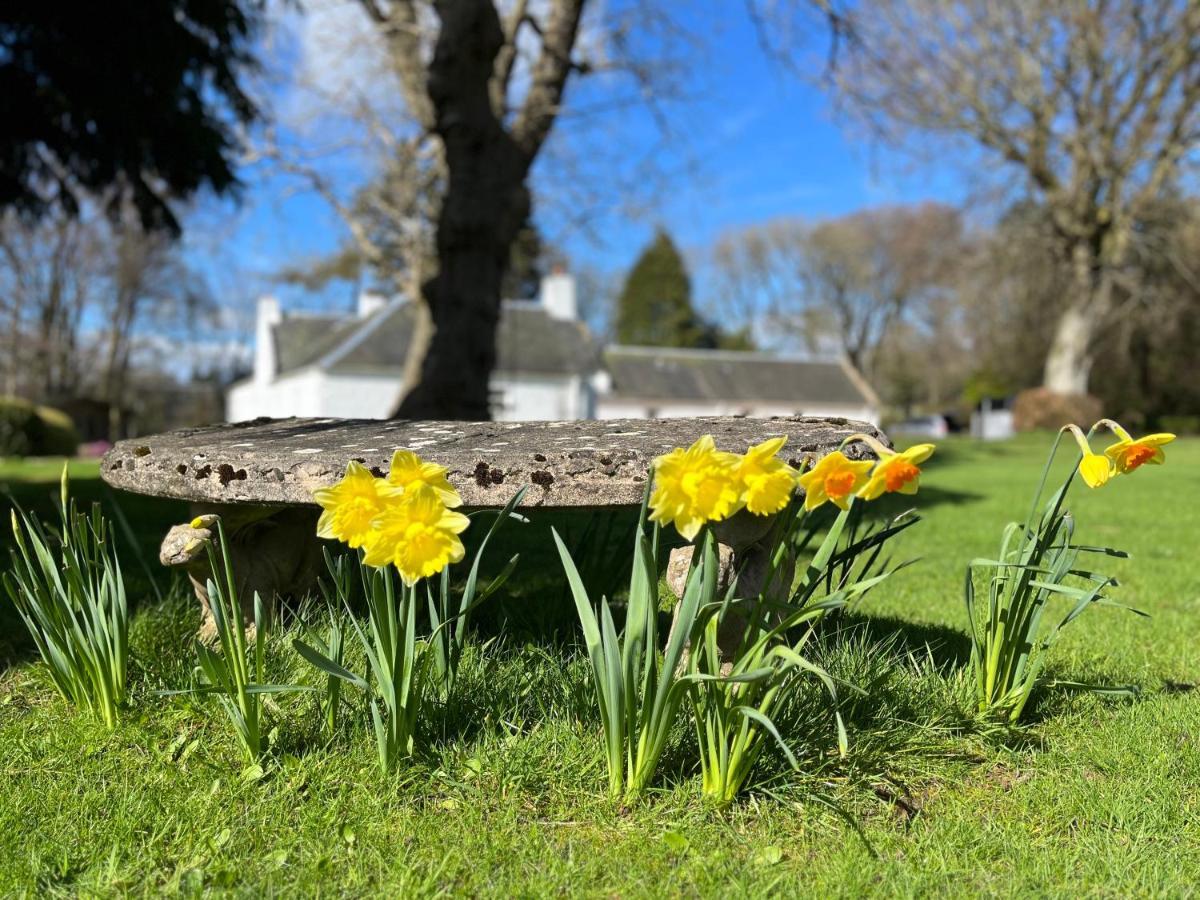 South Craighall B&B Eaglesham Eksteriør billede