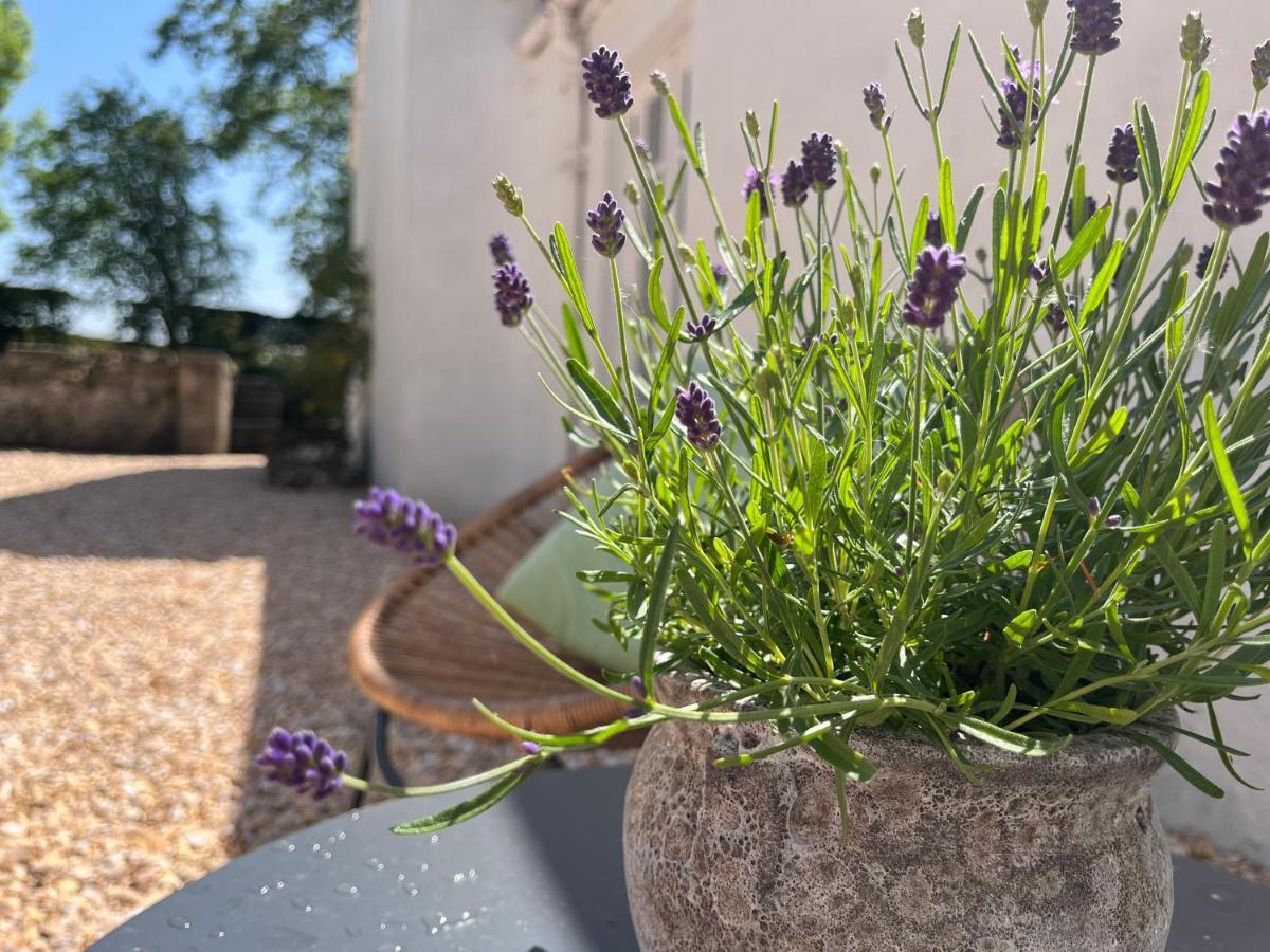 South Craighall B&B Eaglesham Eksteriør billede